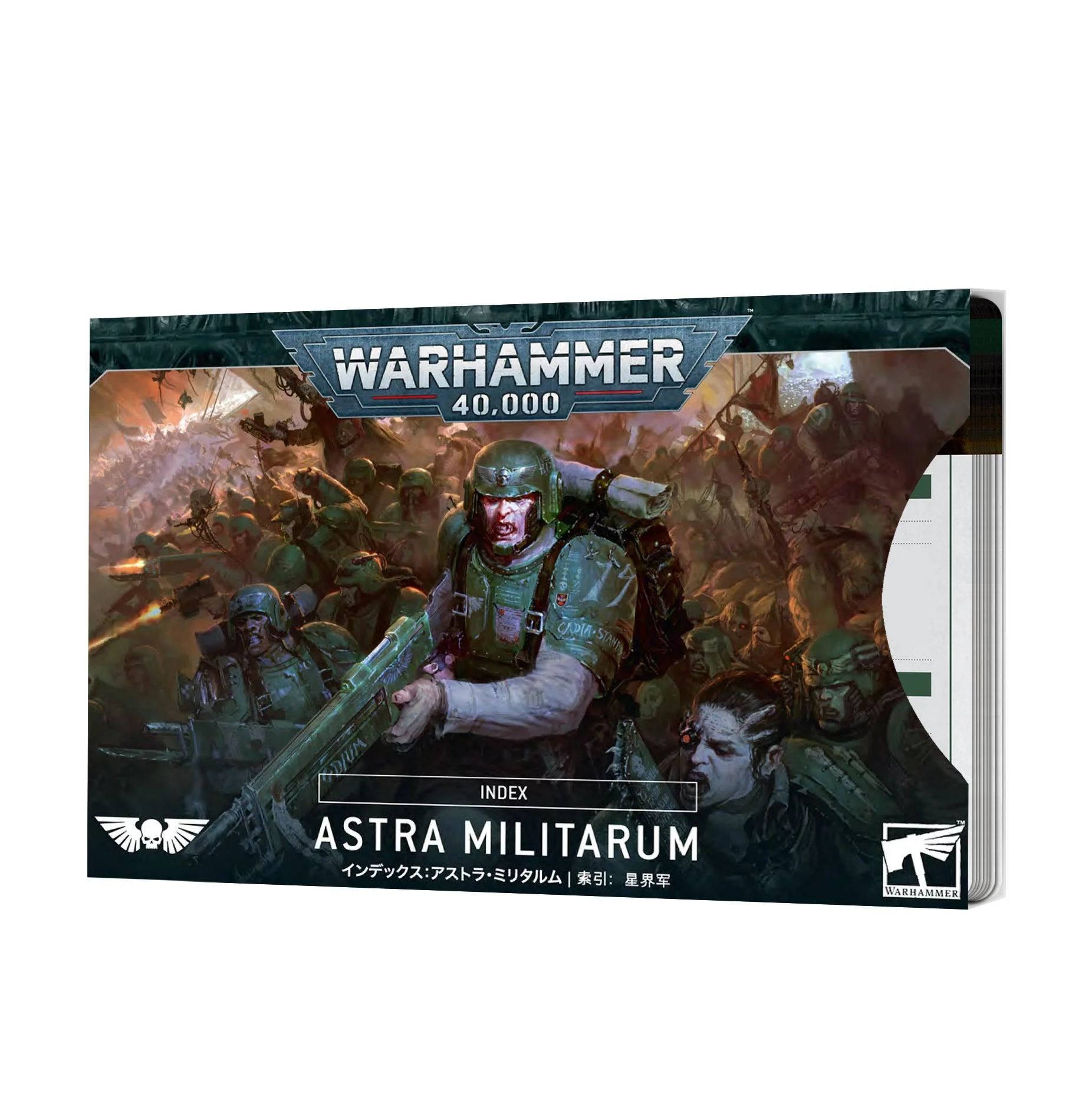 Miniatuur 1