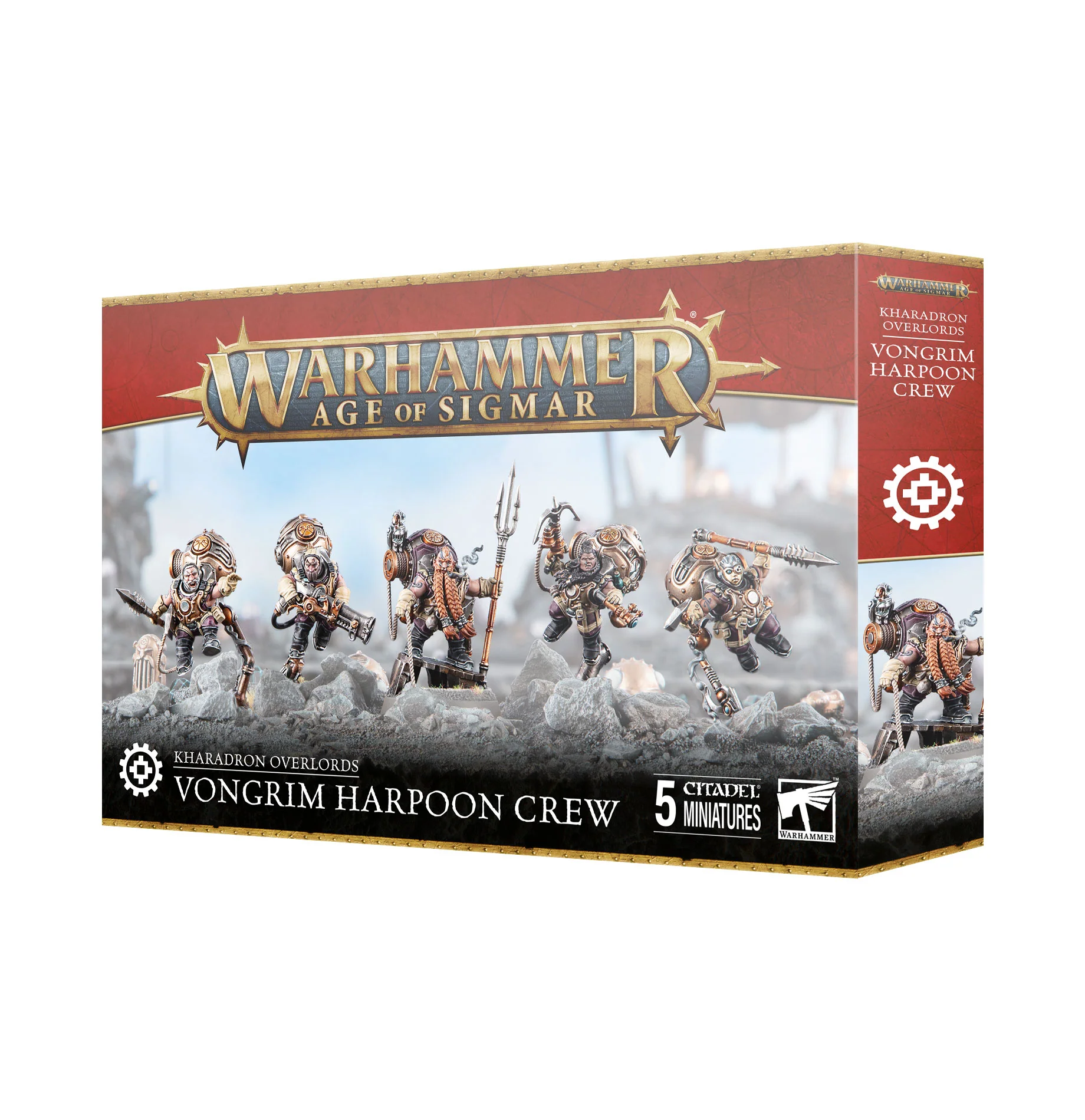 Miniatuur 1