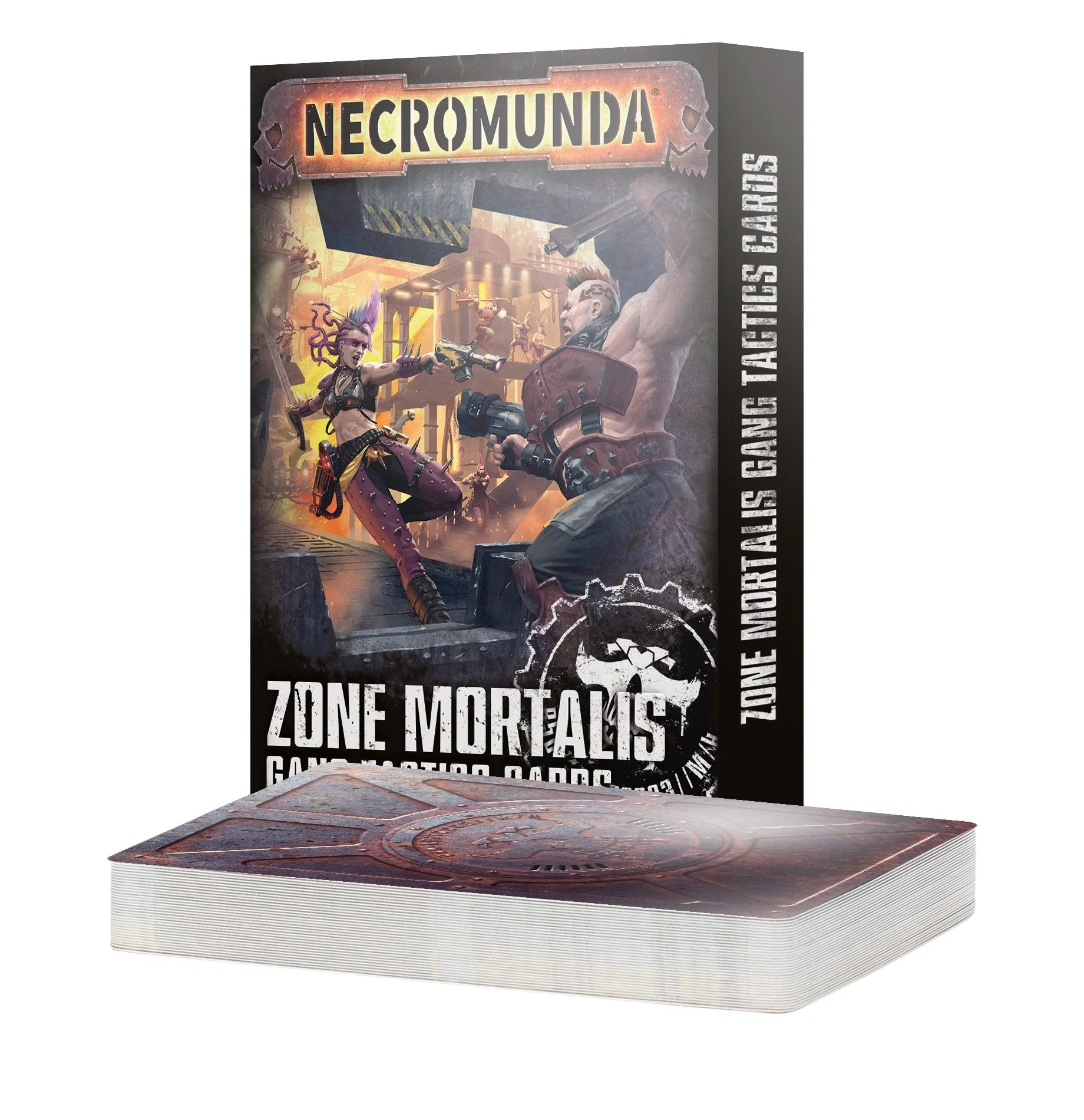 Miniatuur 1